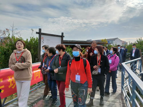 文化公司携手推进国家农产品质量安全市宣传进基地活动——守护舌尖安全，从源头开始